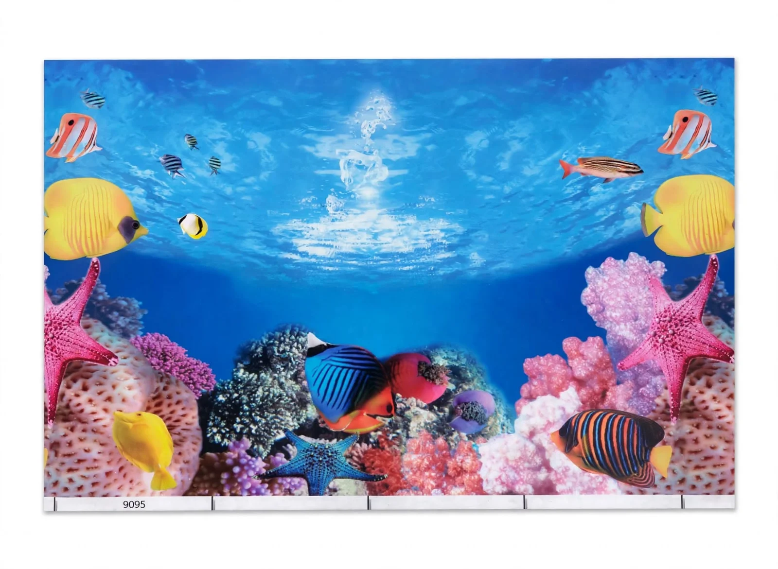 IMAGEN DE FONDO PARA ACUARIO