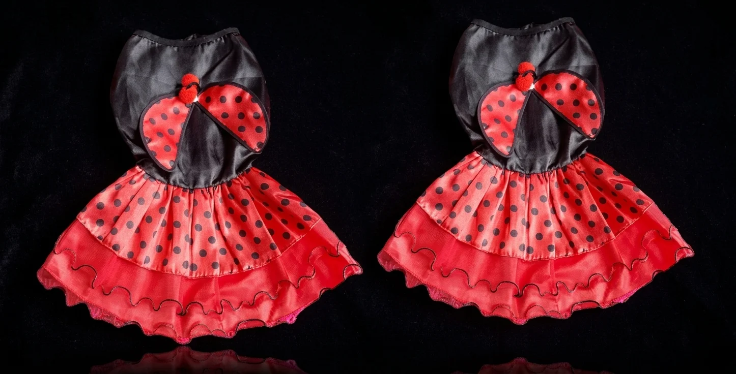 DISFRAZ VESTIDO MARIQUITA