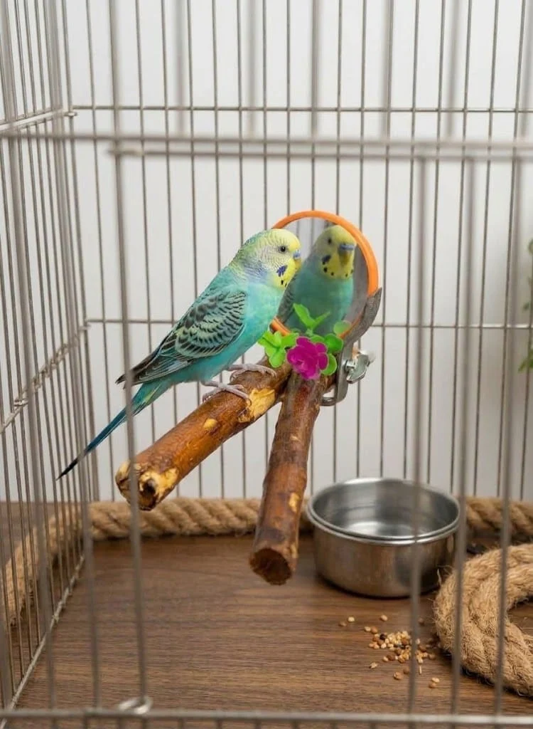 RAMA DE MADERA CON ESPEJO