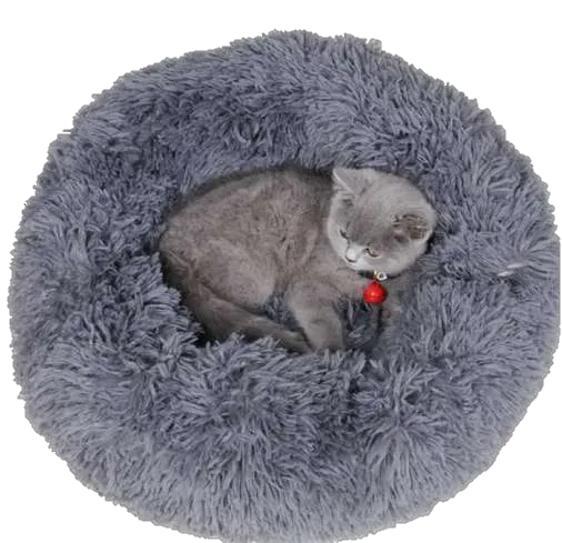 Cama Tipo Dona Delgada