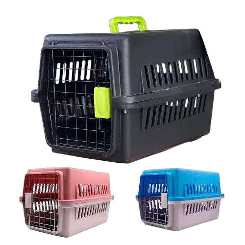 Transportador de Plastico L50
