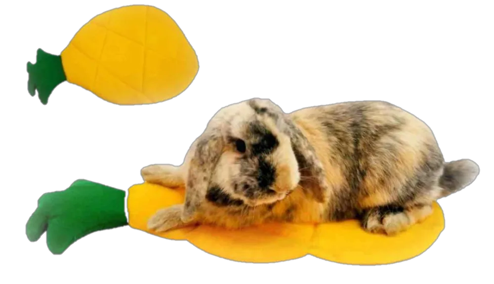 Colchoneta Piña (doble, Polar y Impermeable)
