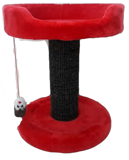 Gimnasio para Gato