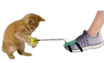 Juguete Interactivo con Pompom