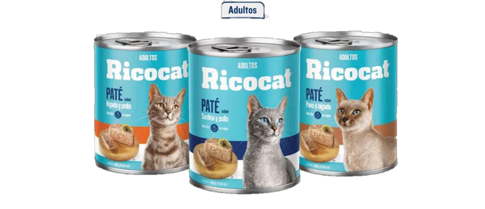 Latas Pate Ricocan (330gr)