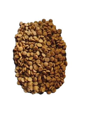 Alimento Premiun Canbo Gato