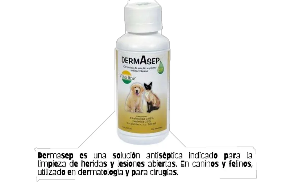 Dermasep Solucion Antiseptica, Limpiar y Desinfectar Heridas (120ml)