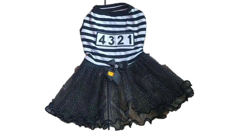 Disfraz Vestido Prsionera y Calavera