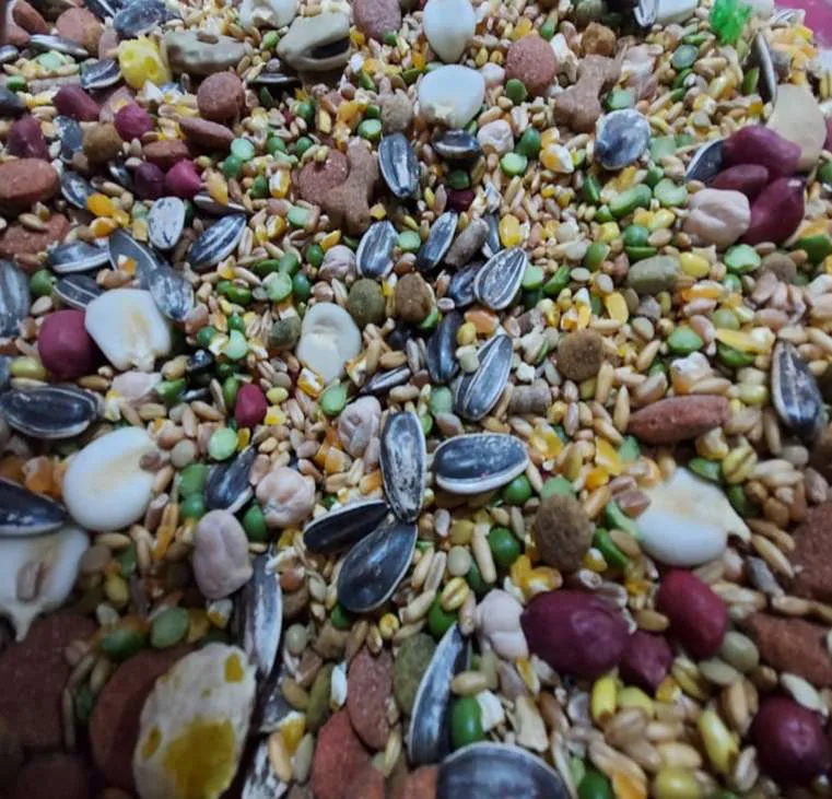 Alimento Balanceado (mix de Semillas)