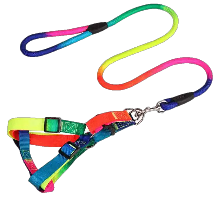 Pechera Arcoiris
