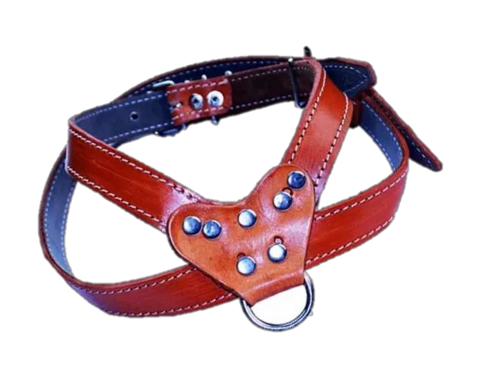 Pechera de Cuero
