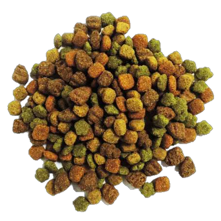 Alimento DOG Chow