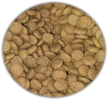 Alimento Super Premiun Kuraka Cachorro Cordero
