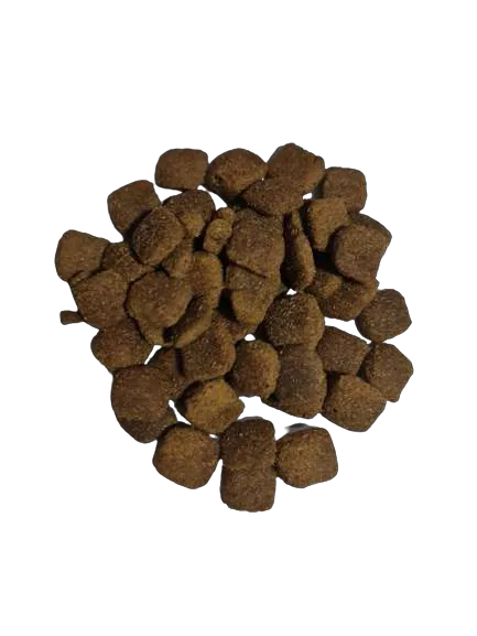 Alimento Premium Amity Perro Cordero Razas Medianas y Grandes