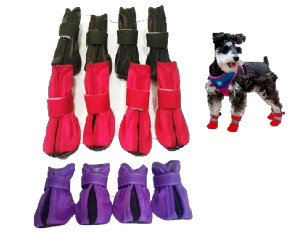Zapatos Impermeables