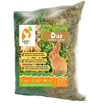 Heno Duo (alfalfa + Avena) 1 Kg