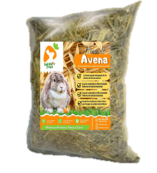 Heno de Avena 1 Kg