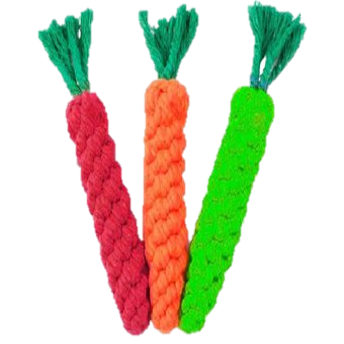 Zanahoria de Cuerda