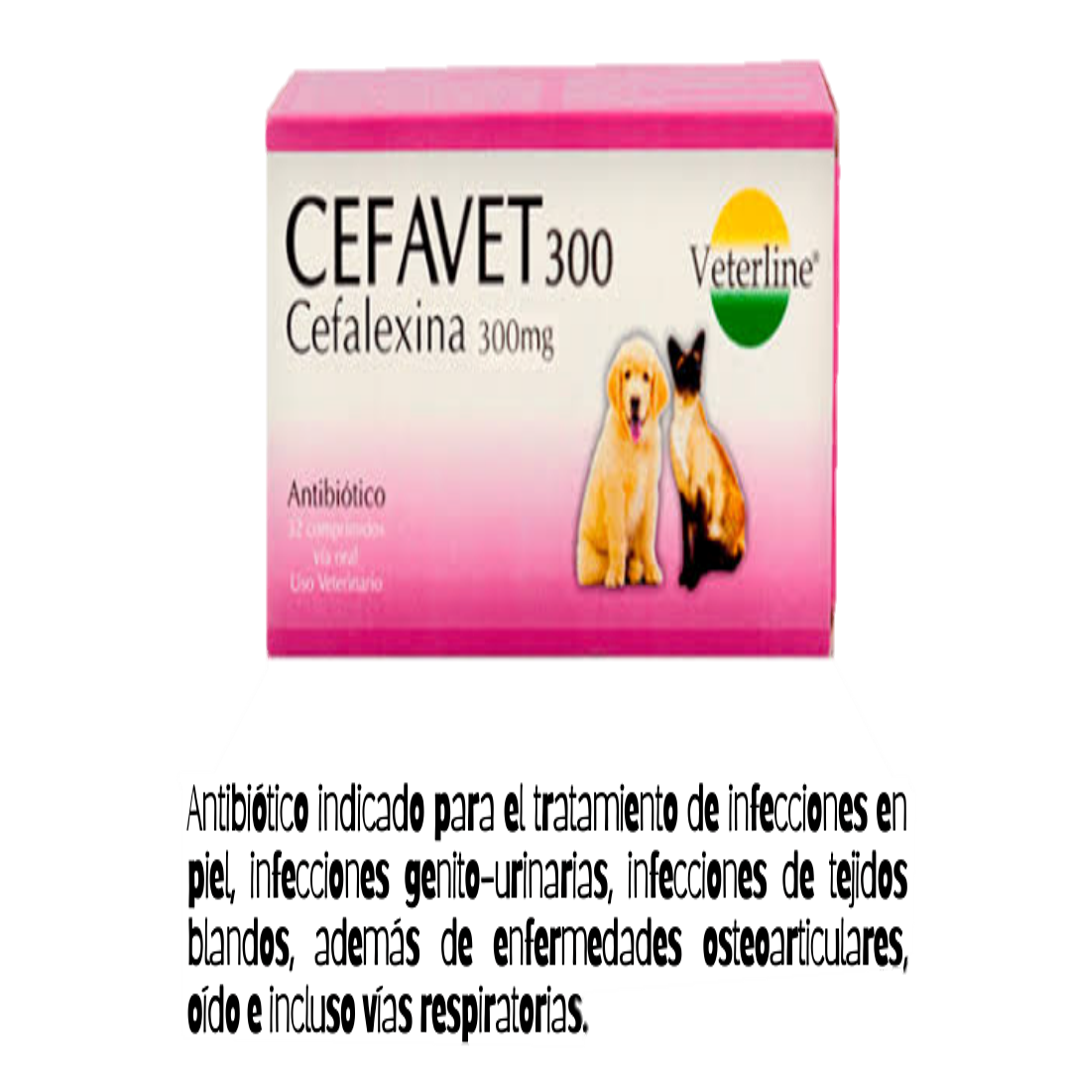 Cefavet 300mg