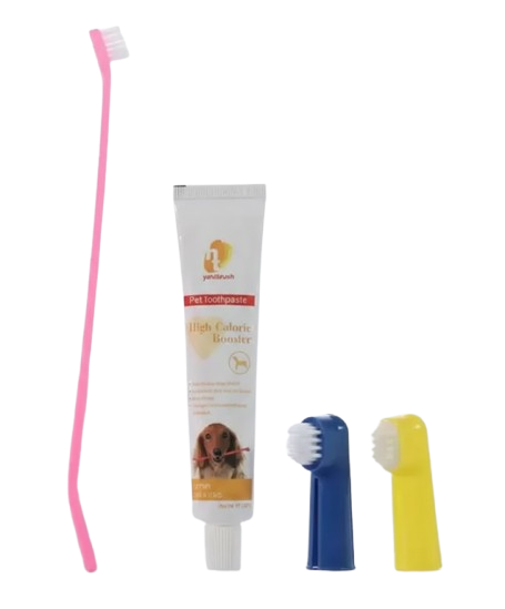 Kit Dental (pasta y Cepillos)