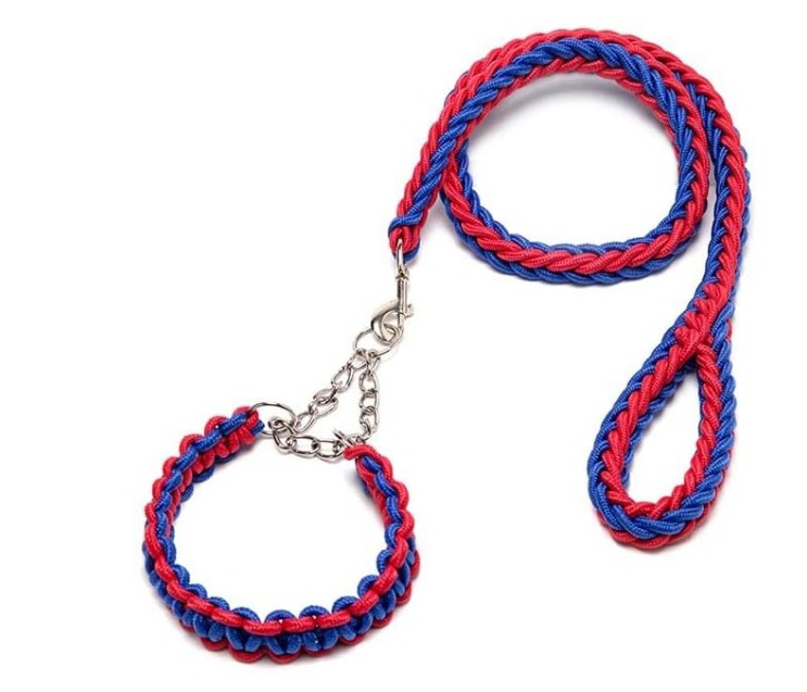 Correa y Collar de Ahorque para Perros de Nylon Trenzado de Alta Resistencia Talla L